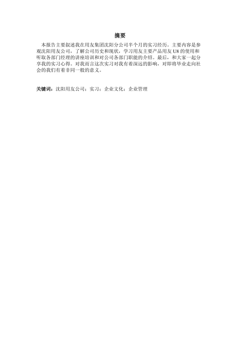 用友公司的实习报告.doc_第1页