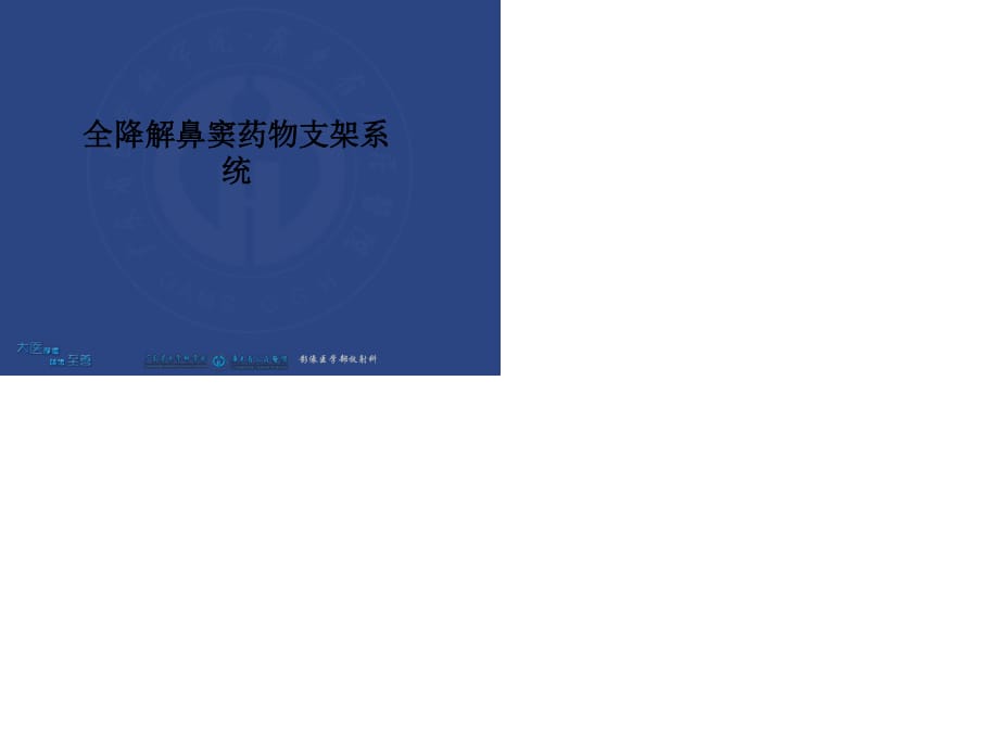 鼻窦支架系统.ppt_第1页