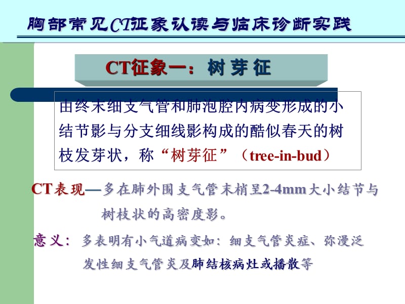 肺部CT十大征象诊断应用.ppt_第3页