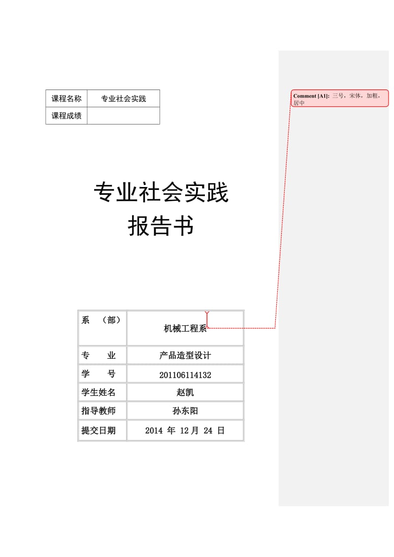 专业社会实践报告书格式要求.doc_第1页