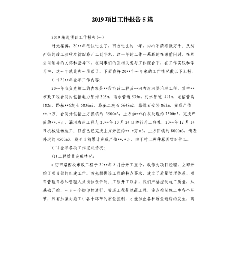 2019项目工作报告5篇.docx_第1页