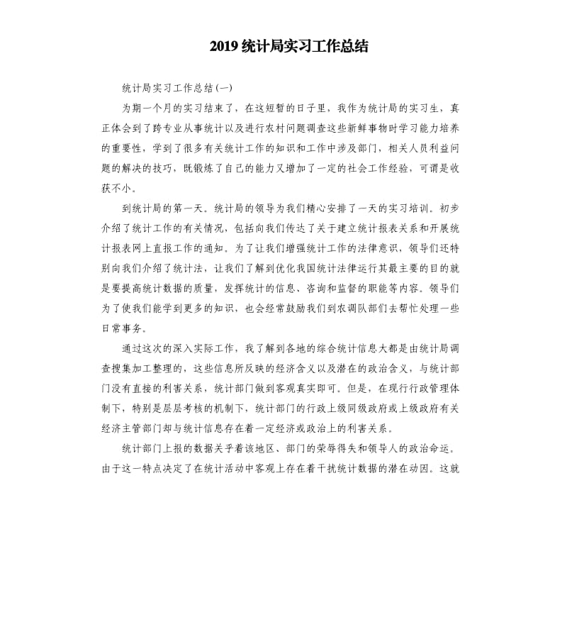 2019统计局实习工作总结.docx_第1页