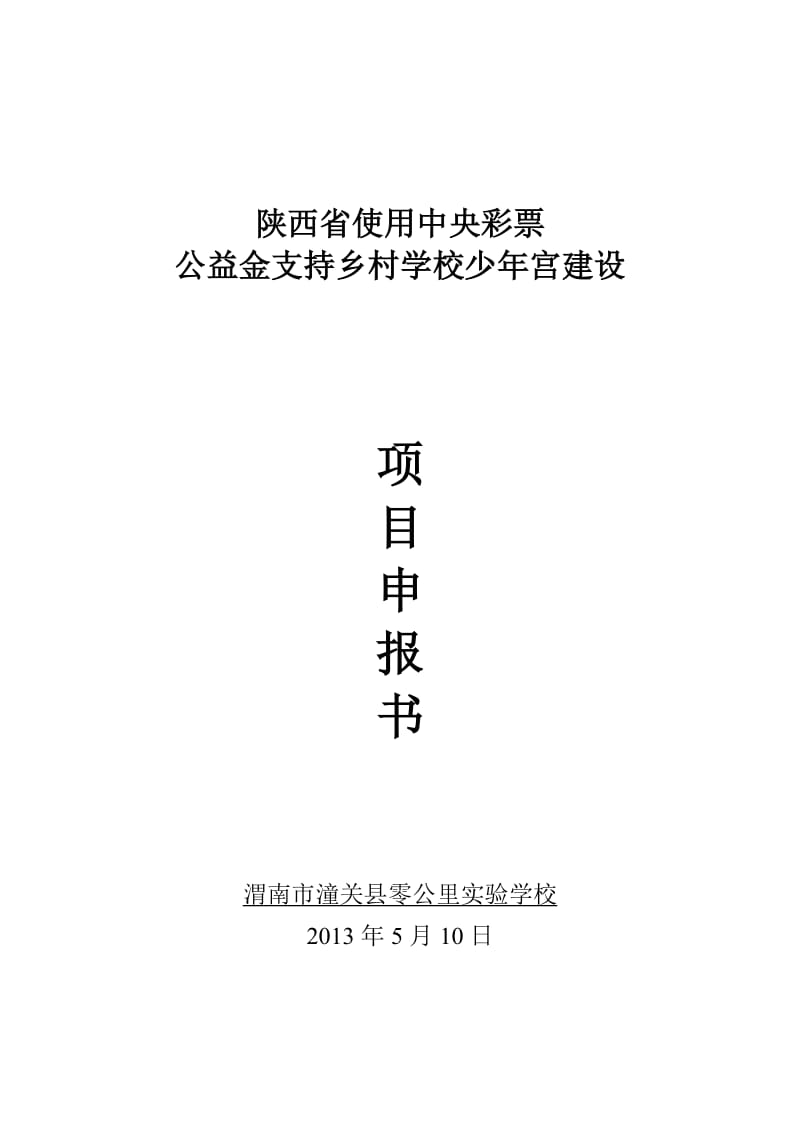 乡村学校少年宫建设项目申报书.doc_第1页