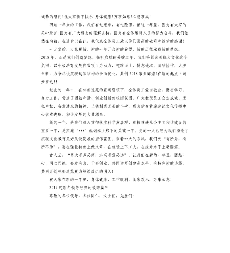 2019迎新年领导的致辞.docx_第3页