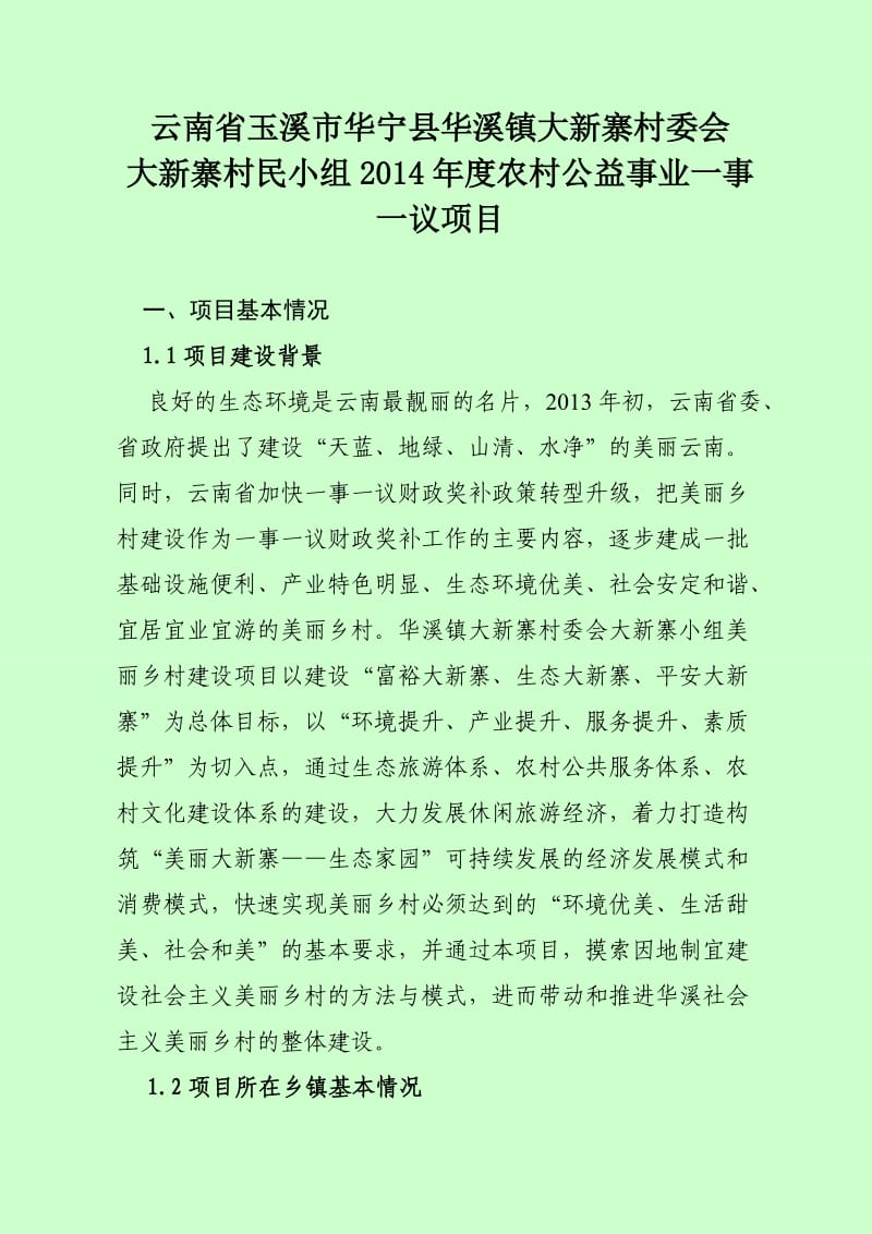 大新寨美丽乡村建设项目建议书.doc_第1页