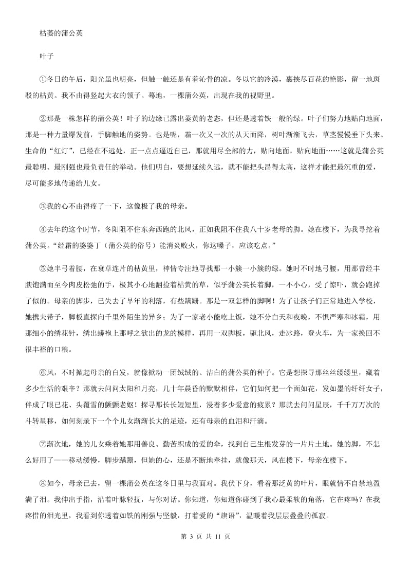 北师大版语文中考适应性考试试卷B卷_第3页