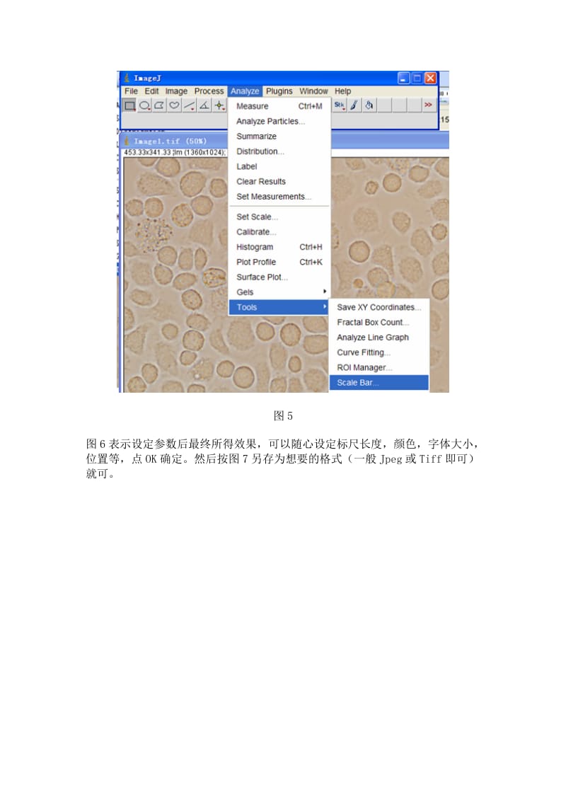 Image J软件给图片添加标尺_第3页