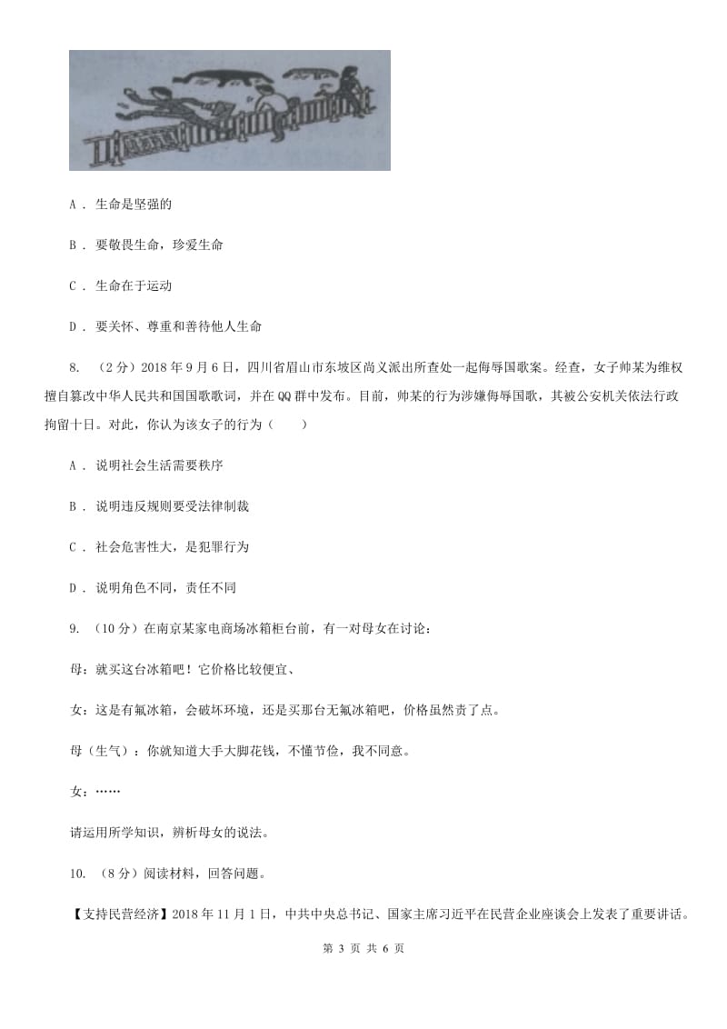 北师版2020年中考道德与法治仿真模拟卷（II ）卷_第3页