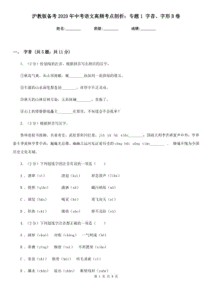 滬教版?zhèn)淇?020年中考語文高頻考點剖析：專題1 字音、字形B卷