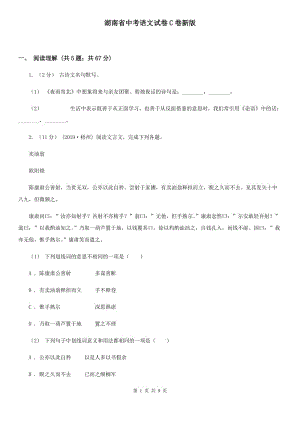 湖南省中考语文试卷C卷新版