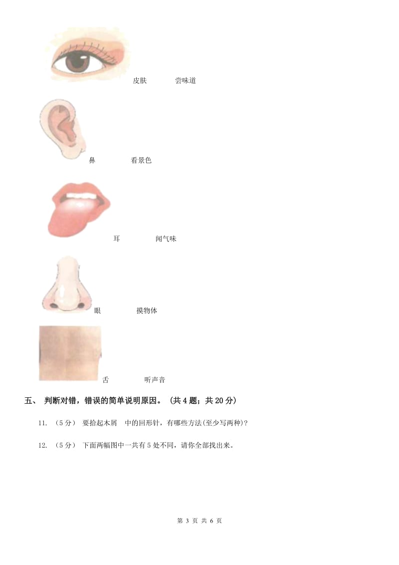 教科版小学科学二年级下册期末测试（一）_第3页