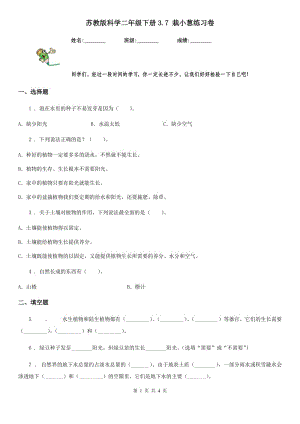 蘇教版科學(xué)二年級(jí)下冊(cè)3.7 栽小蔥練習(xí)卷