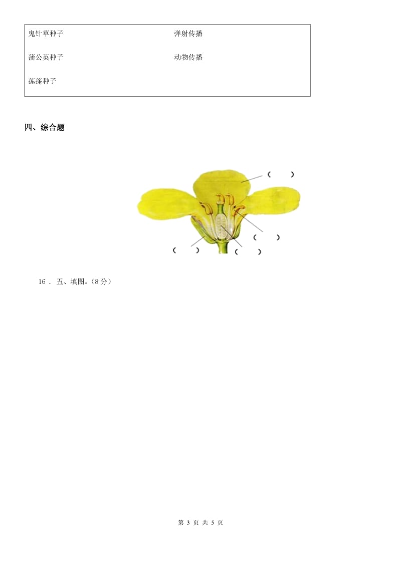 教科版 科学一年级上册第一单元 植物测试卷_第3页