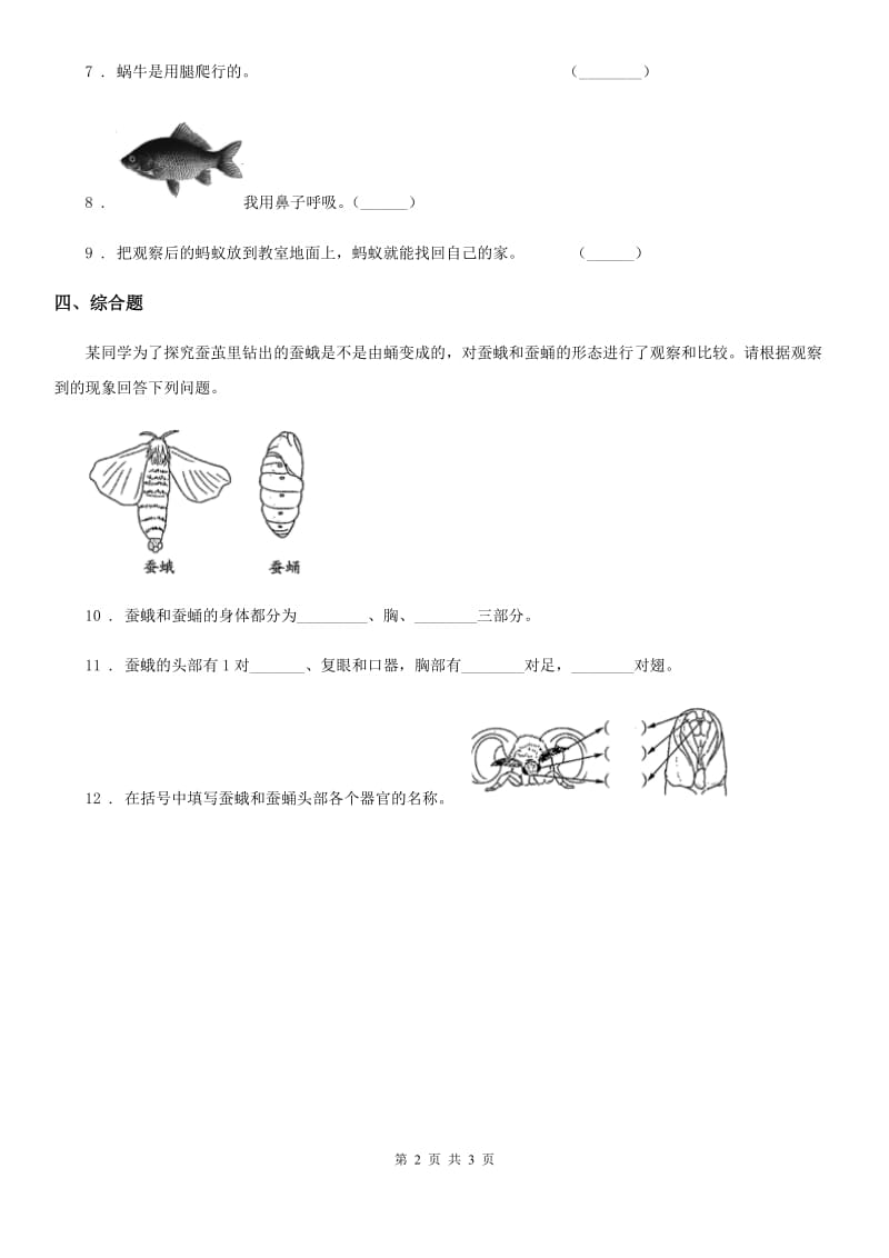 2020年教科版科学一年级下册2.3 观察一种动物练习卷D卷_第2页