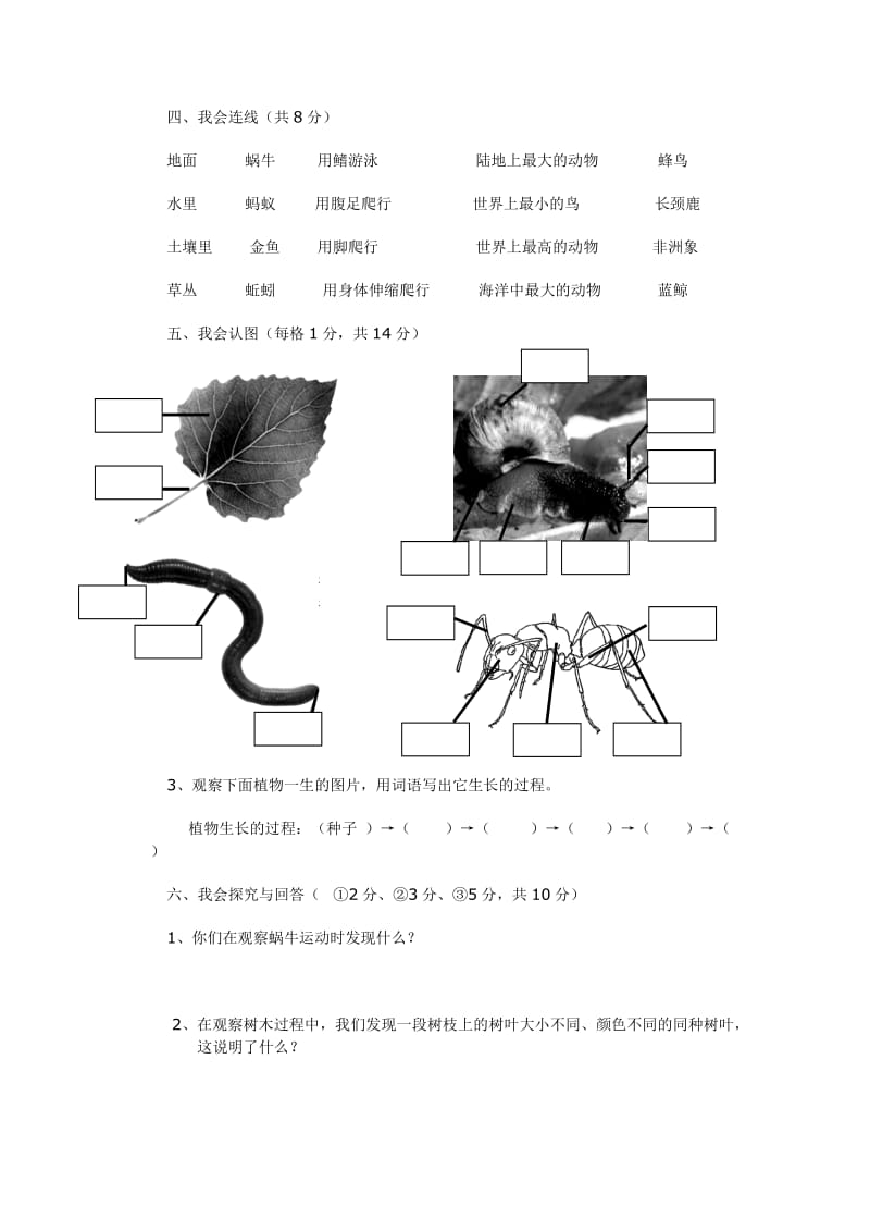 小学三年级上册科学期中考试试卷及参考答案1_第3页