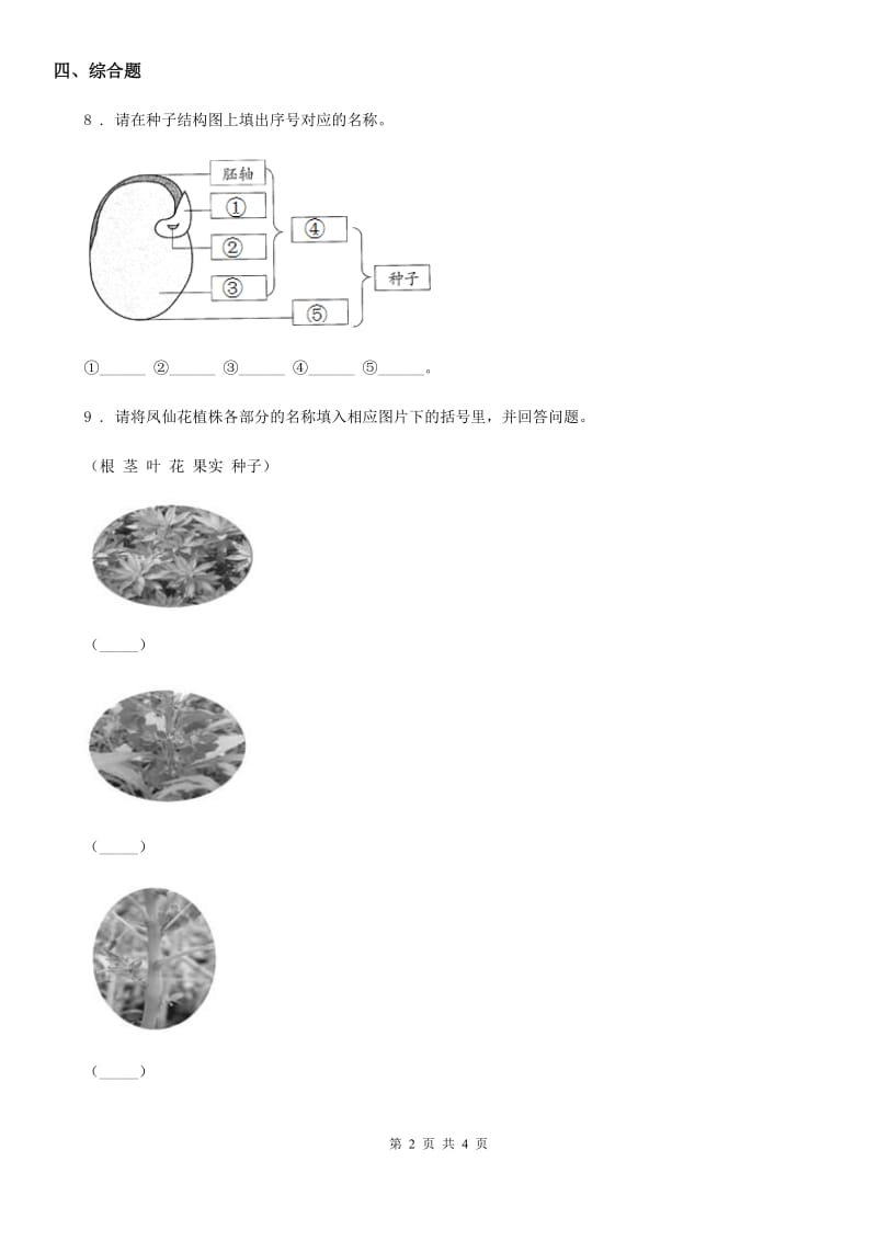 教科版科学一年级上册3.观察叶_第2页