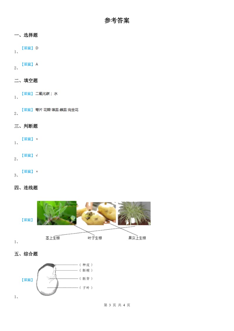 2020版教科版科学一年级上册1.3 观察叶练习卷D卷_第3页