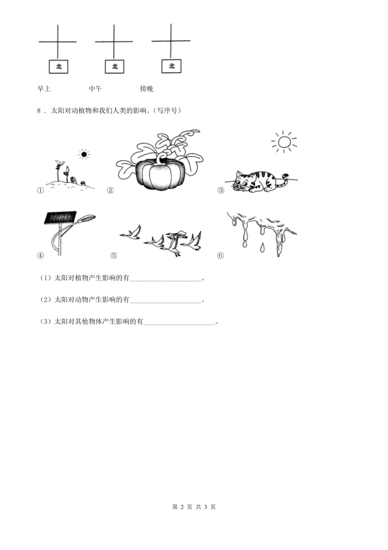 教科版（教学）科学二年级上册3.太阳的位置和方向_第2页