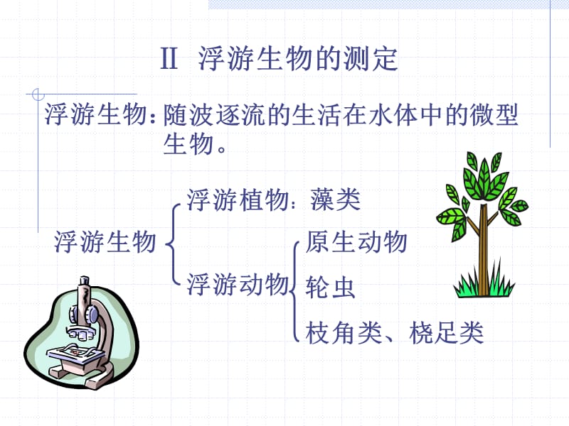 《浮游生物的测定》PPT课件_第1页