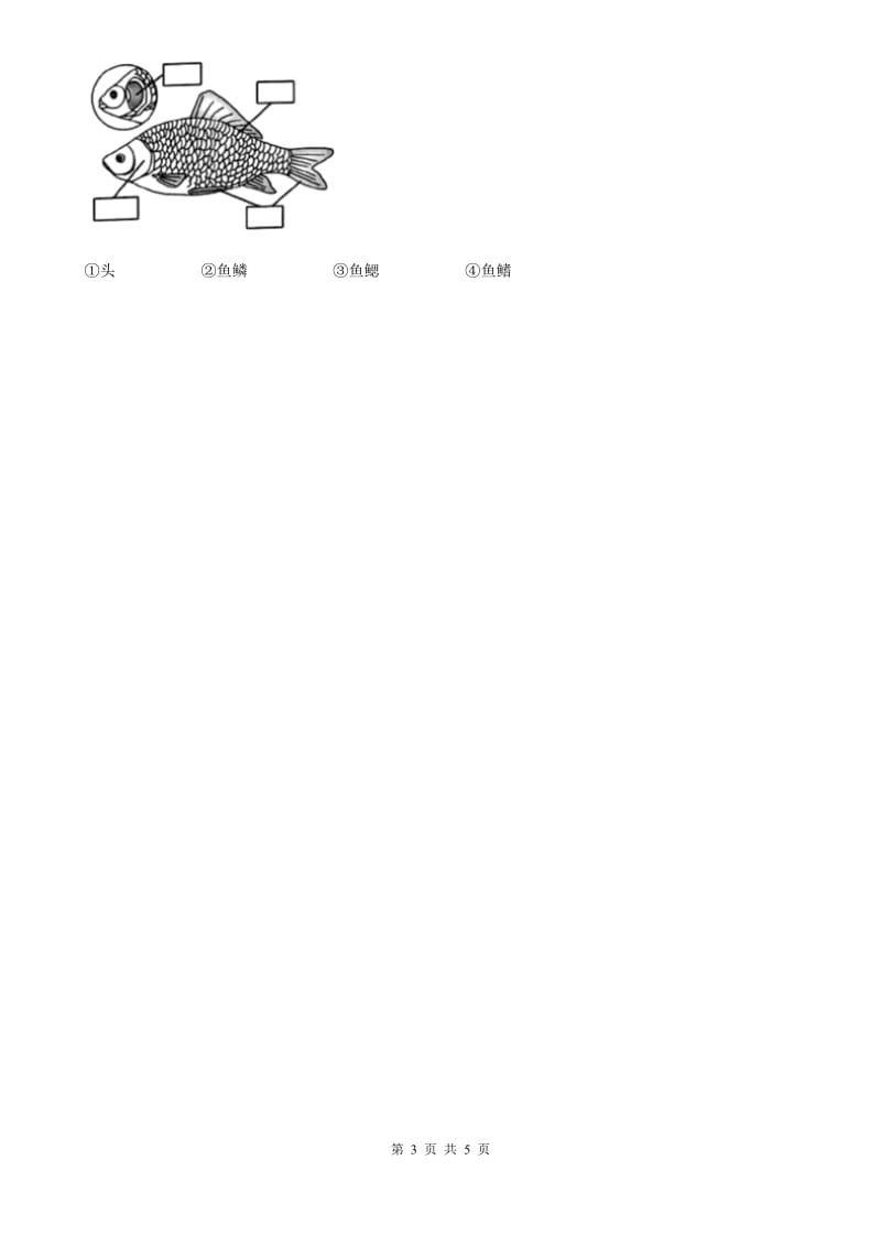 2020年（春秋版）教科版科学六年级上册4.1 校园生物大搜索练习卷A卷_第3页