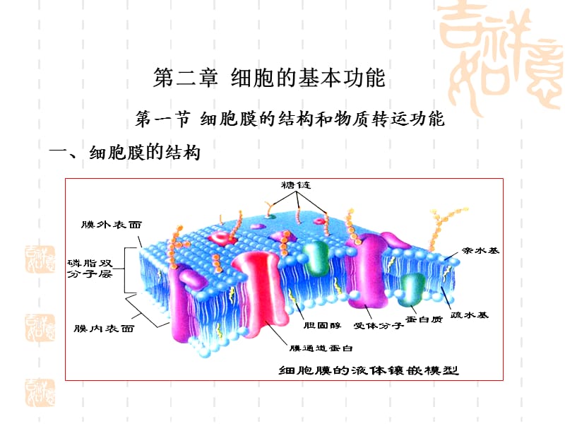 《細(xì)胞生理》課件_第1頁(yè)