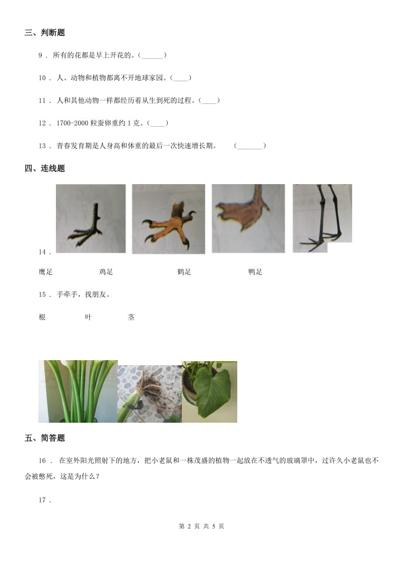 2019版 苏教版 科学一年级下册第四单元《动物与植物》单元测试卷（I）卷_第2页