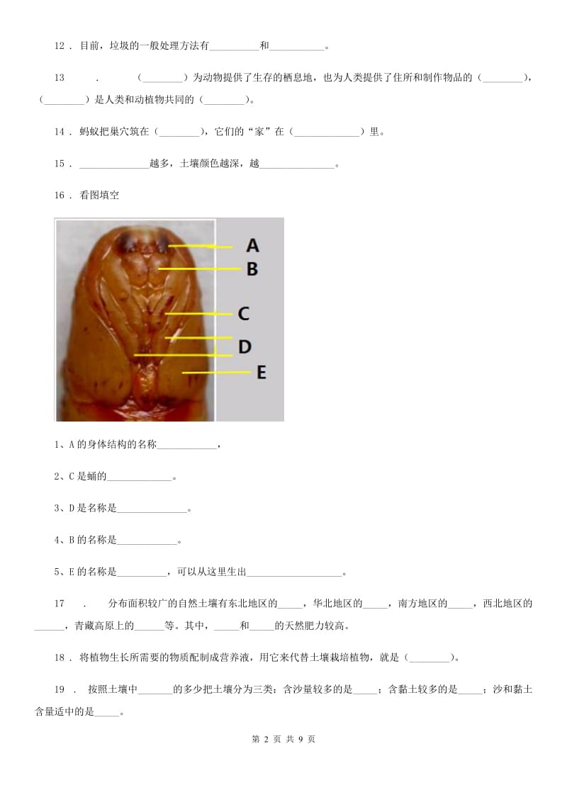 大象版 科学三年级上册第五单元测试卷_第2页