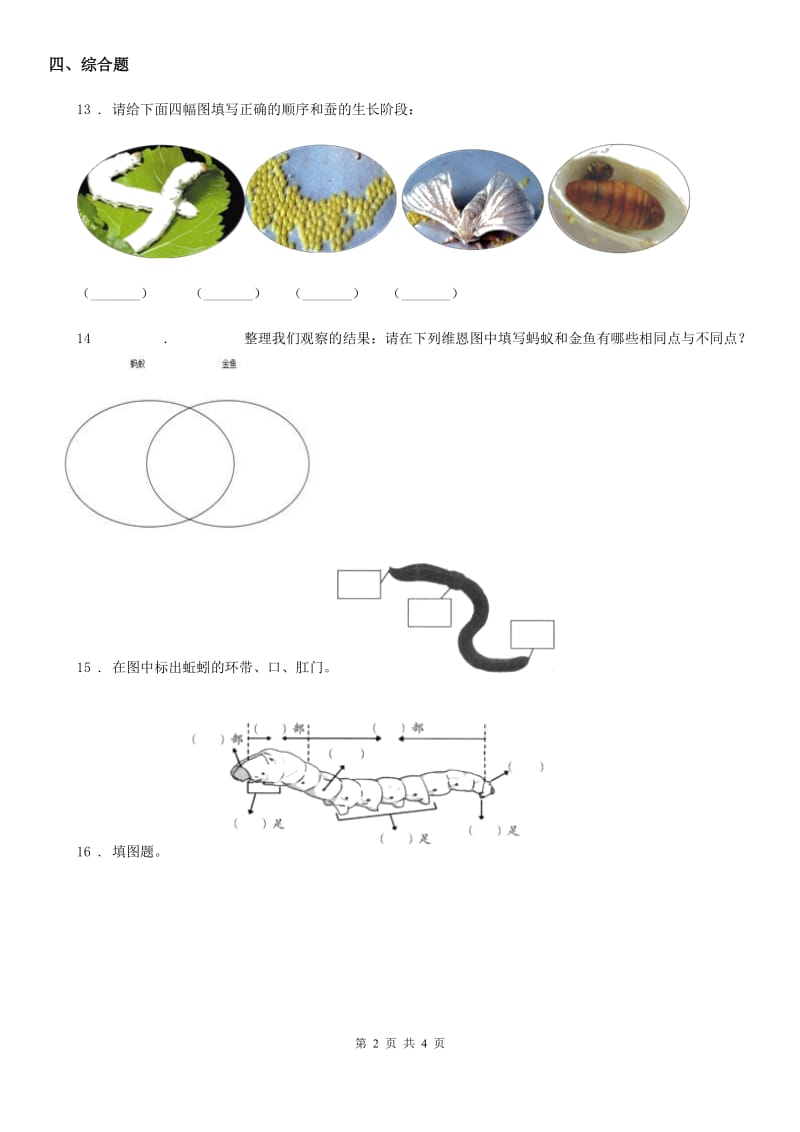 2020年（春秋版）教科版科学三年级下册2.4 蚕变了新模样练习卷（II）卷_第2页