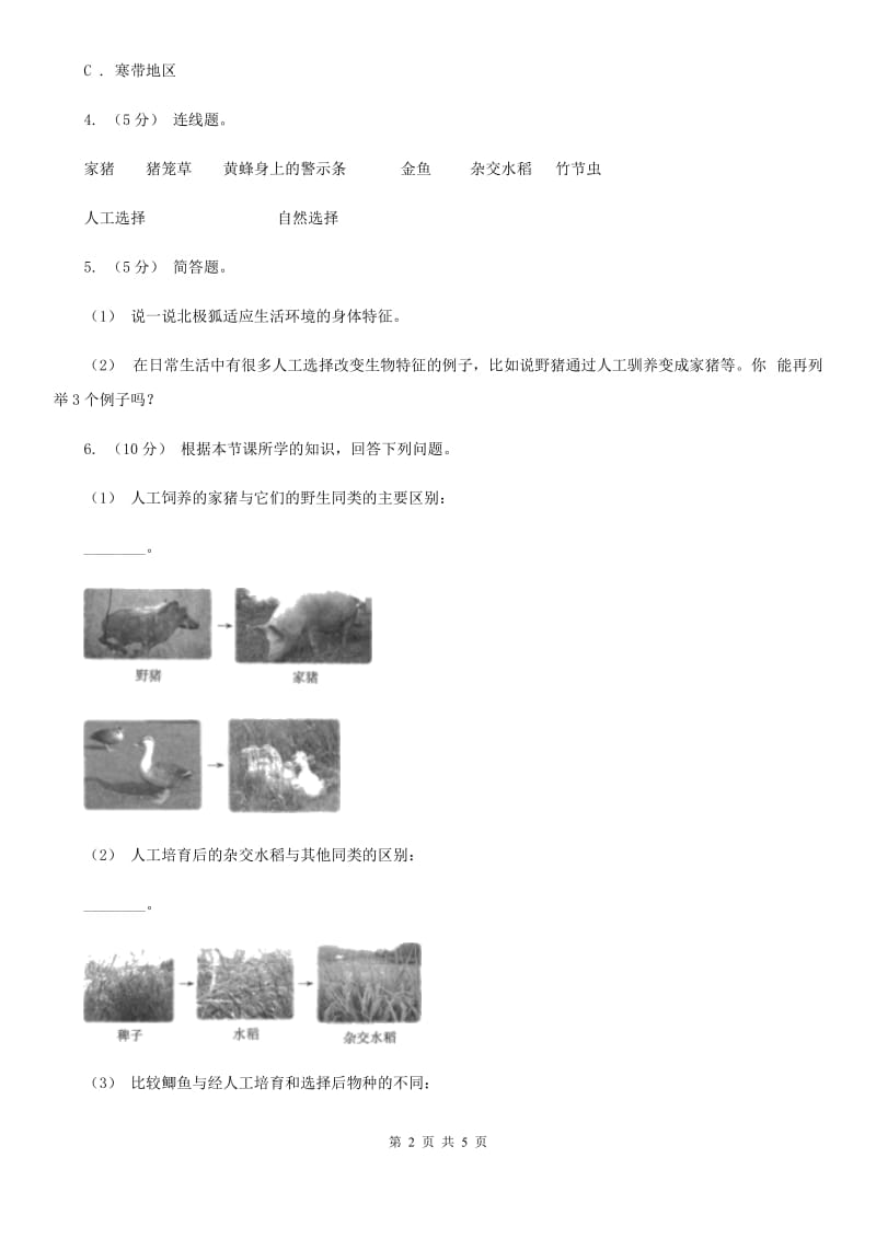 教科版小学科学六年级上学期 4.6原来都是相互关联的同步练习C卷_第2页