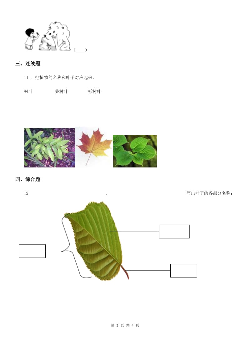 教科版科学一年级上册第一单元测试卷（A卷）_第2页