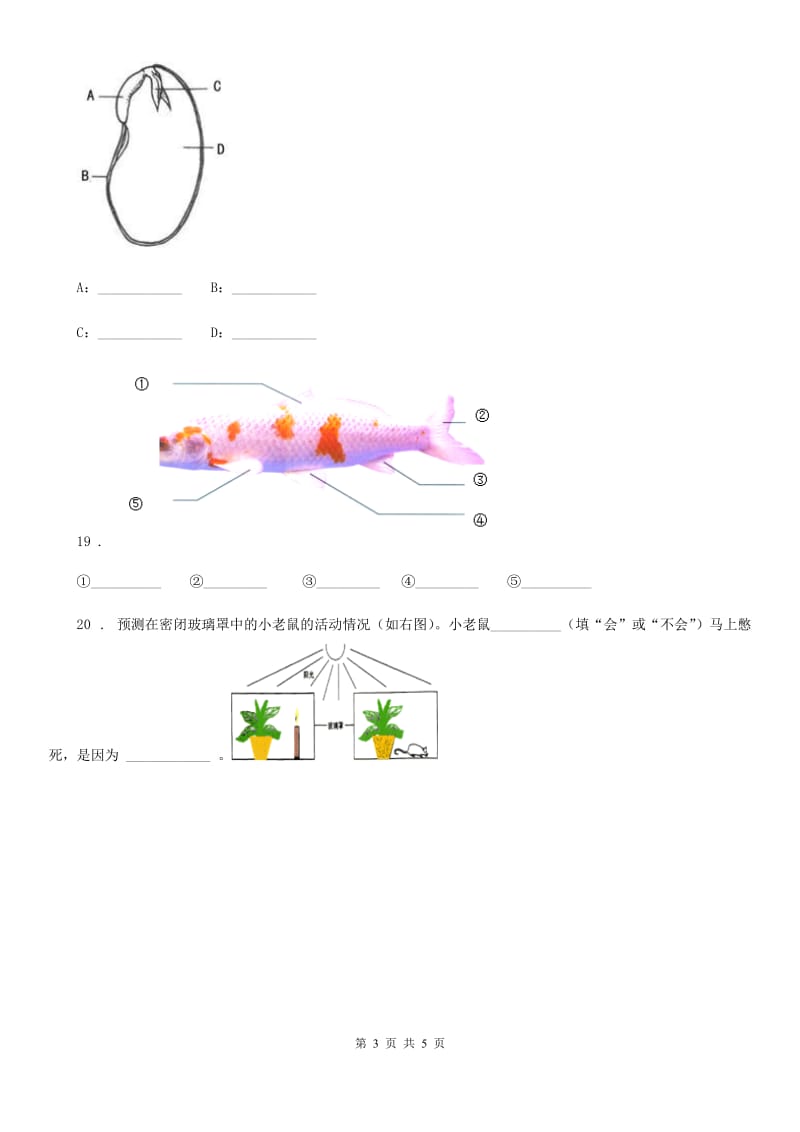 2019版 苏教版 三年级下册期中测试科学试卷B卷_第3页