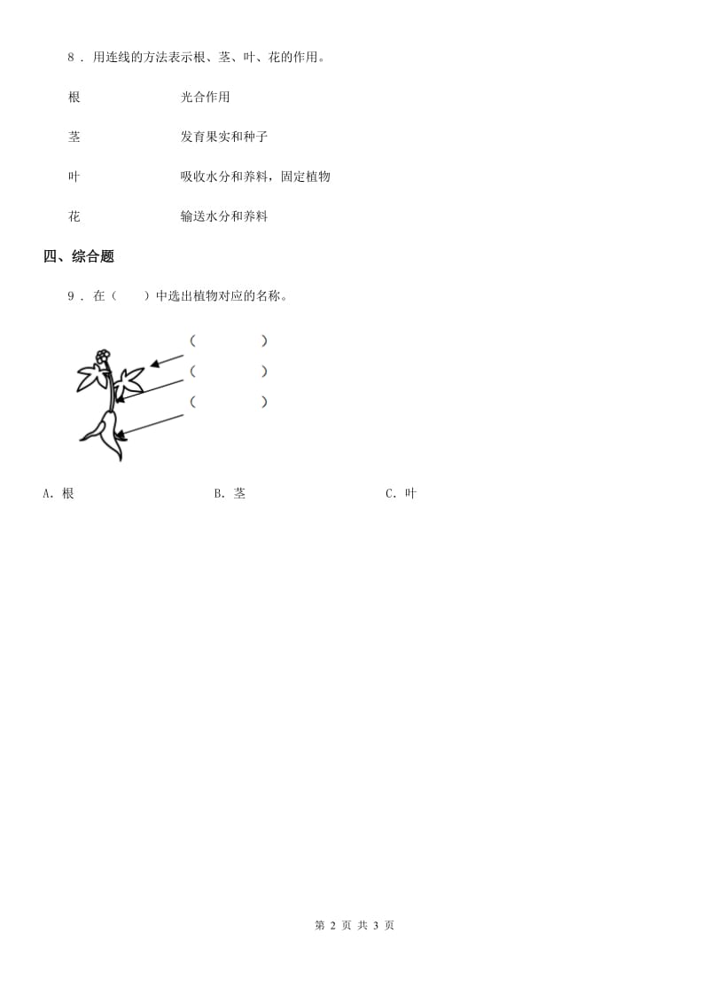 教科版科学一年级上册4.这是谁的叶_第2页