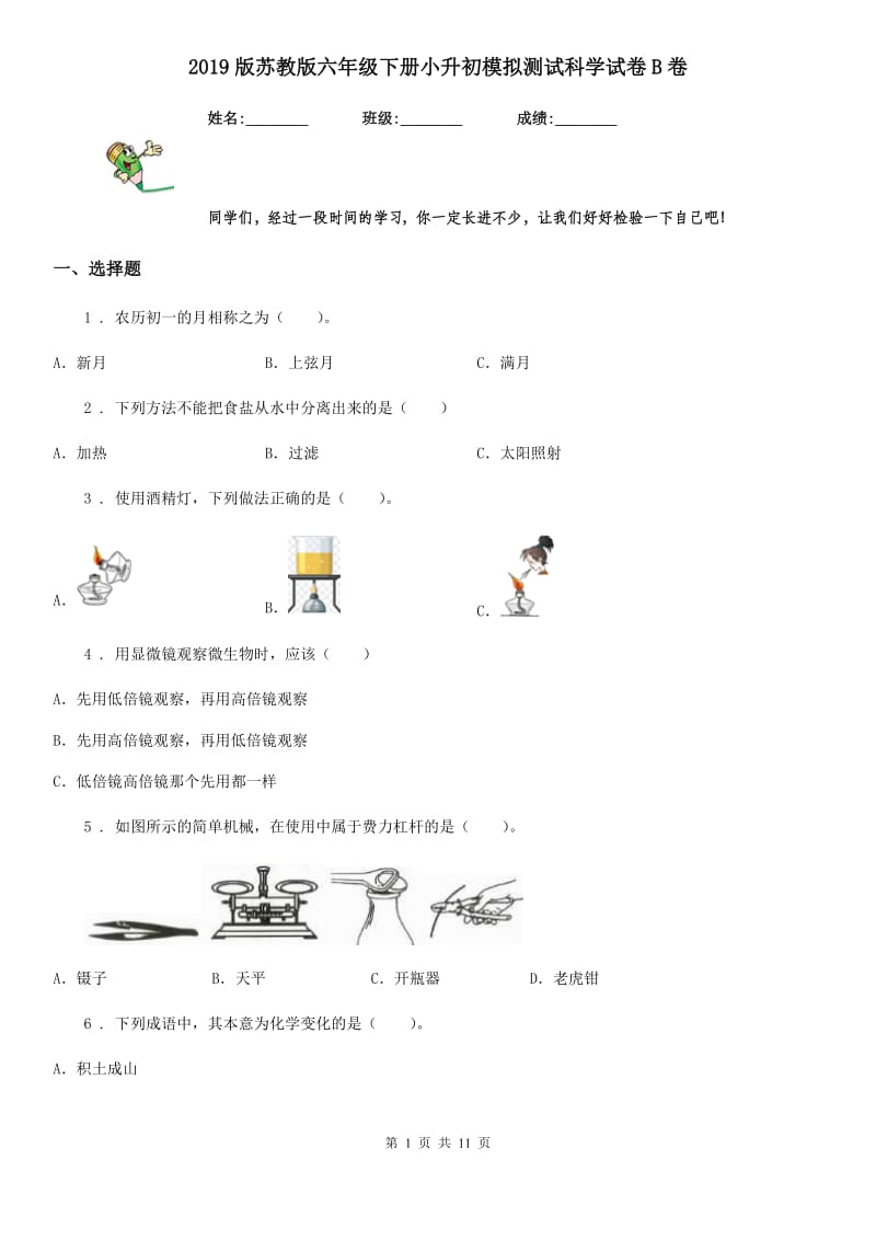 2019版苏教版六年级下册小升初模拟测试科学试卷B卷_第1页