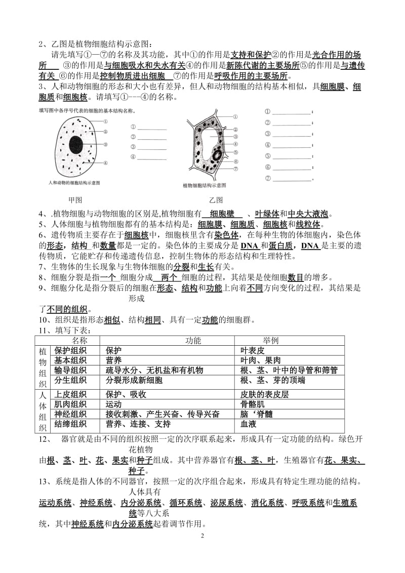 苏教版七年级生物上学期知识点汇总_第2页