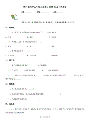 教科版科學(xué)五年級上冊第2課時 陽光下的影子