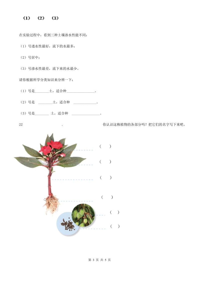 2019年青岛版三年级上册期中考试科学试卷A卷_第3页