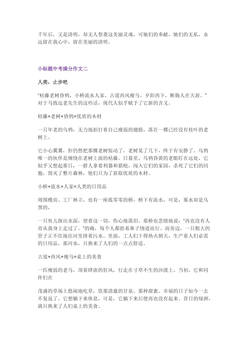 小标题中考满分作文一_第2页