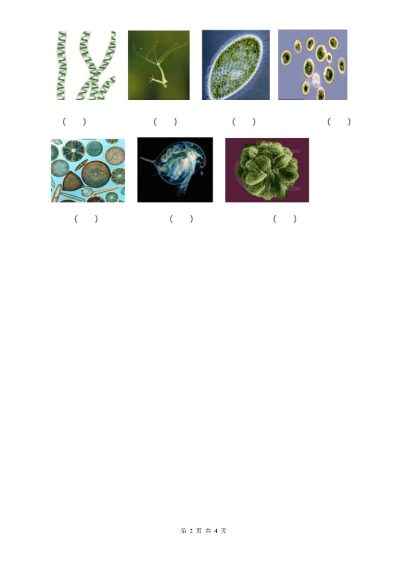 粤教版小学科学五年级下册1.5《微小的生命世界》B卷_第2页