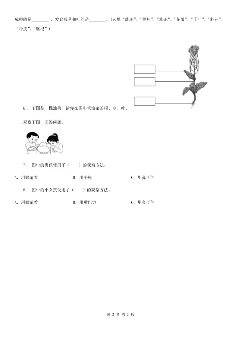 教科版 科学一年级上册1.2 观察一棵植物练习卷（1）_第2页