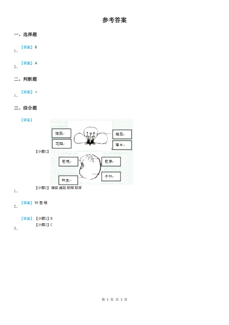 教科版 科学一年级上册1.2 观察一棵植物练习卷（1）_第3页