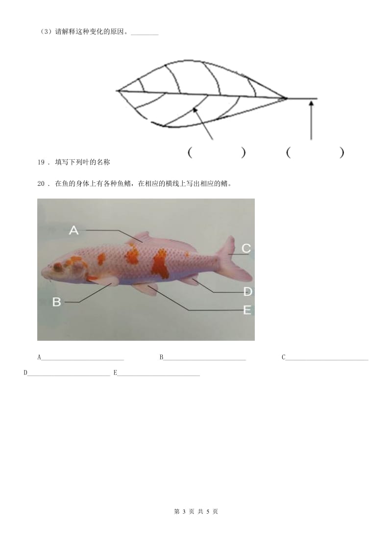 2020年苏教版三年级下册期中测试科学试卷B卷_第3页