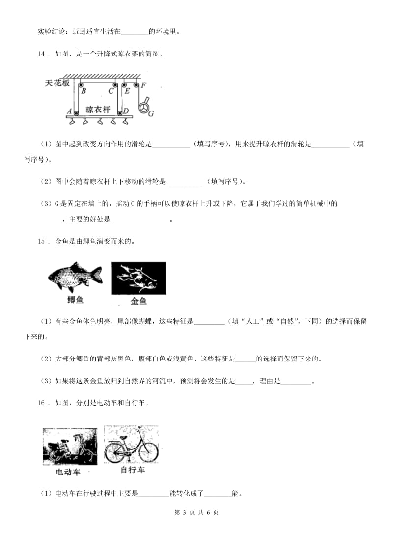 教科版（教学）科学六年级上册滚动测试（十七）_第3页