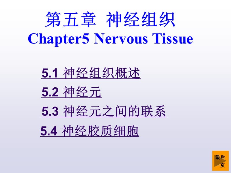 《神經(jīng)組織》課件_第1頁