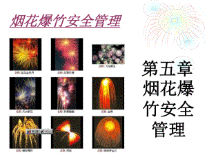 《煙花爆竹安全管理》PPT課件