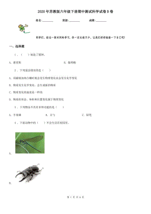 2020年蘇教版 六年級(jí)下冊(cè)期中測(cè)試科學(xué)試卷B卷