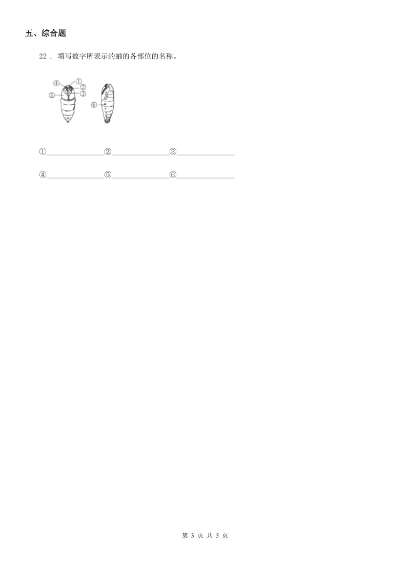 2019版教科版科学三年级下册2.6 蚕的一生练习卷（II）卷_第3页