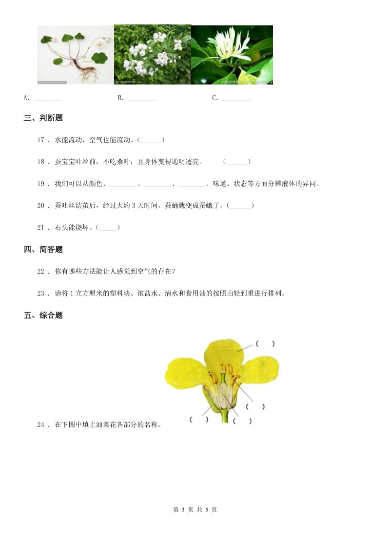 2019年教科版三年级上册期末测试科学试卷（II）卷新版_第3页