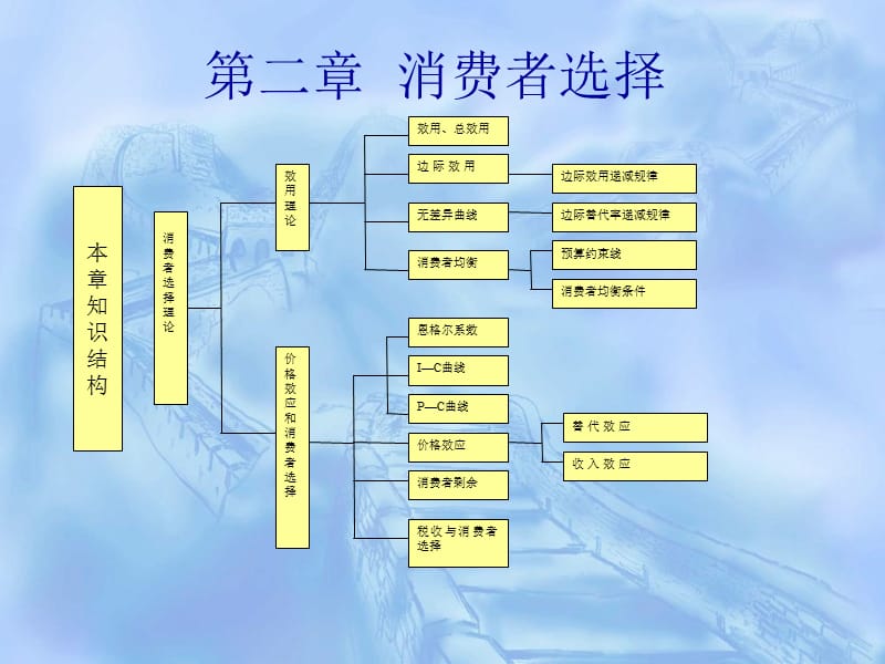 《消费者选择》课件_第1页