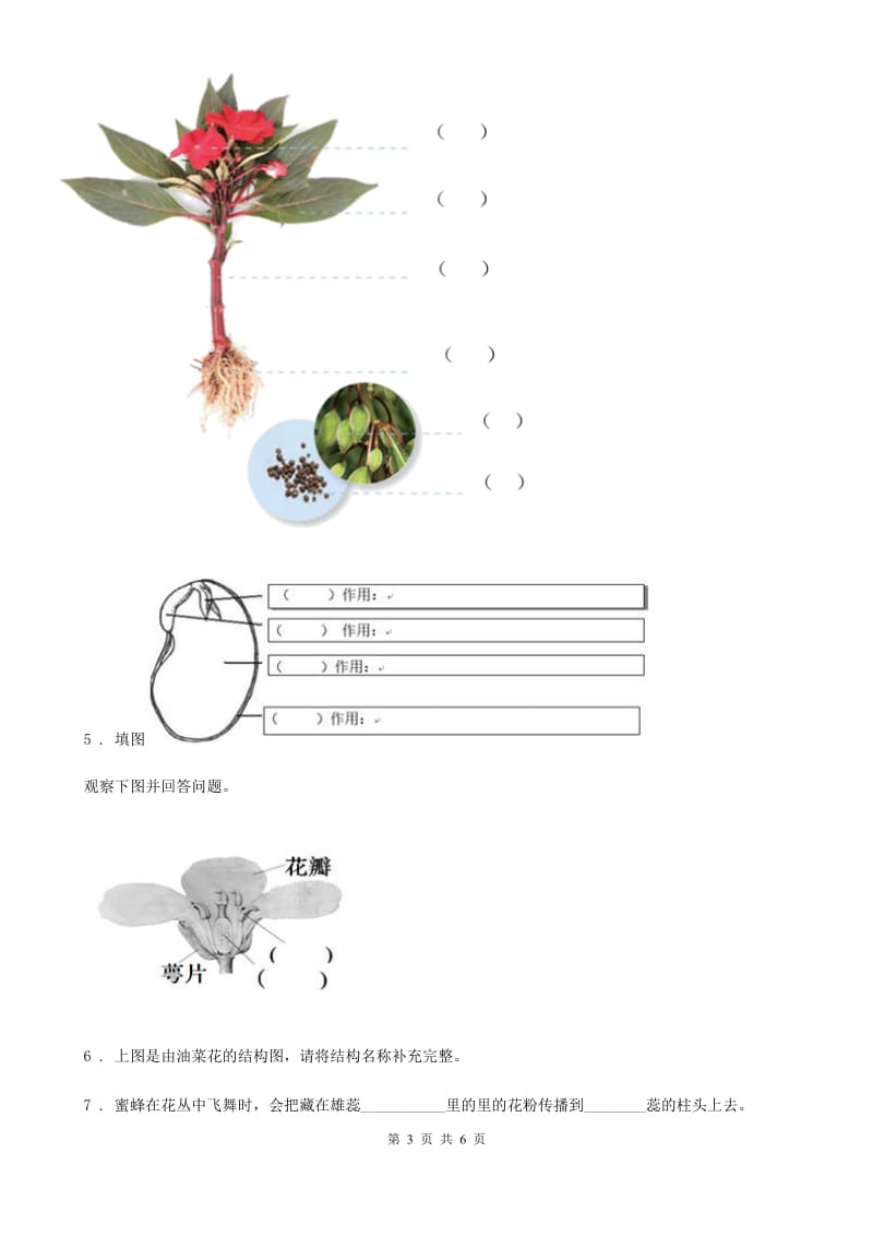 2020年（春秋版）青岛版（五四制）科学三年级上册第一单元质量检测试题A卷_第3页