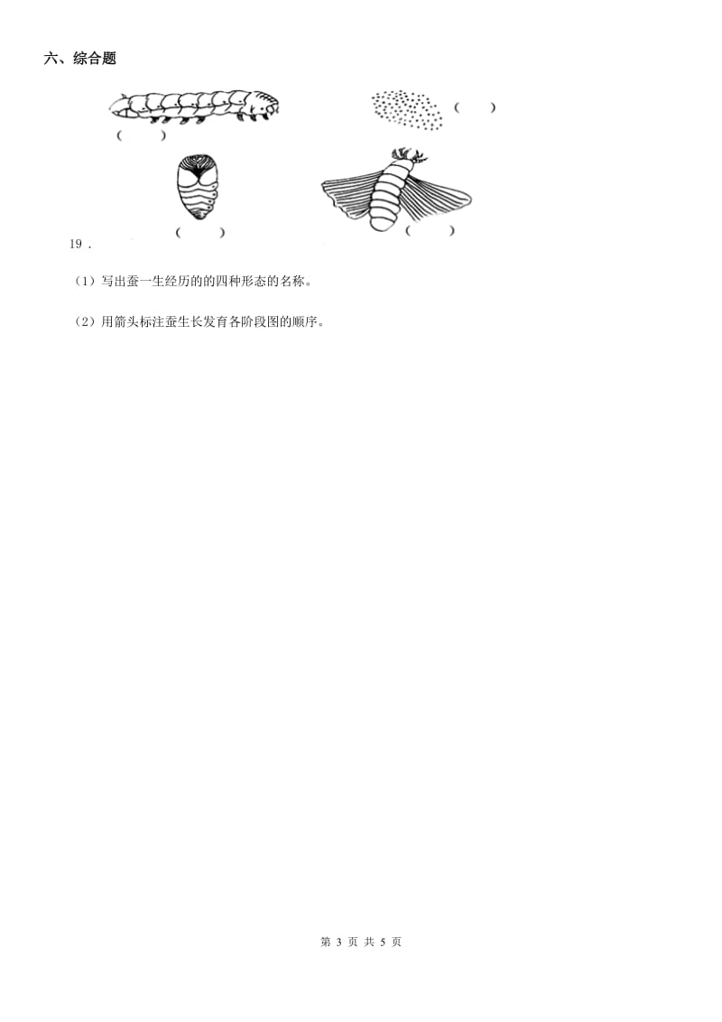 2019版苏教版科学一年级下册第四单元《动物与植物》单元测试卷（I）卷_第3页